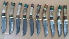 Lot Of 10 10 Inches Handmade Damascus Steel Skinner Knives In Stag Horn W sheath