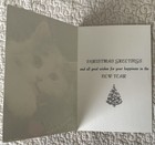 Unused Christmas Cat Kitten Face Pine Needles Photo Greeting Card 1960s 1970s
