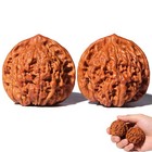 2026 New Wenwan Walnuts chinese Walnuts Fidget