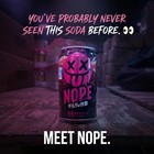 Viral Japanese Suntory Nope Guilty Soda  99  Fruit   Spice Flavors  340ml Cans 