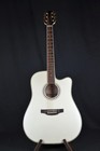 Takamine G Series Gd37ce 6 String A e  Pearl White   Int l Buyer Welcome