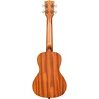 Kala Unity Concert Ukulele - Natural