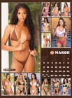 2025 Hooters 15-month Wall Calendar     Official Swimsuit Edition Calendar