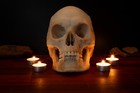 Vampire Skull - Life Sized - Super Detailed - Free Delivery World Wide 