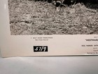 1957 Walt Disney Movie Photo  Westward Ho The Wagons Fess Parker  7