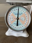 Vintage  american Family  Nursery Scale - 30 Lb  Babies  Puppies  Kittens 1950   s