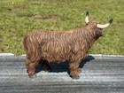 Custom Resin Highland Cow 