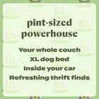 Bissell - Little Green Mini Portable Carpet Cleaner - Tea