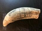   steamer Thrasher   Historic Sperm Whale Tooth Scrimshaw Reproduction