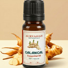 Galangal Essential Oil   Pure And Natural Therapeutic Oil For Aromatherapy