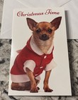 Christmas Time Funny Dog   Happy New Year 5   x7 75  Stockwell Greeting Card