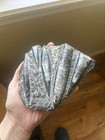 Polished Orthoceras Nautiloid Fossil Cluster Display Specimen Decorative Mineral