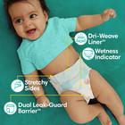 Pampers Baby Dry Baby Diapers size 7  86 Count  select For More Options 