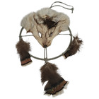 Vtg Native American Mandala Dream Catcher Gray Fox Taxidermy Head