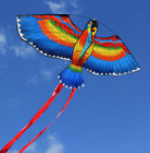 43  Bule Kites For Children Lovely Cartoon Parrot Kites W 30m Flying Line