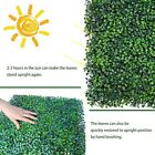 Artificial Hedge Boxwood Panels Boxwood Hedge Grass Wall Greenery Plant Mats