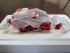 First Gear 1 25 International Forestry Unit 15 Crawler - Forest Fire Ready - Nib