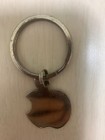 Apple Rainbow Keychain Rare Vintage
