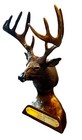 Whitetails Unlimited Wtu 2005 Sponsor Statue 12-point Buck Dark Academia Bust