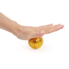 2   Acupressure Hand Massage Ball Body Magnetic Spiky Massage Acupuncture Pain