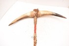 Vtg Native American Ceremonial Double-horn Ghost Dance War Club Antique 21 