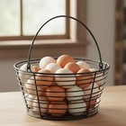 Little Giant Large Metal Wire Egg Basket For Collecting Chicken Eggs  Black
