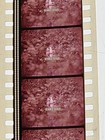 35mm Feature Film  Breaking Away  Entire Film Classic  Dennis Quaid 1979