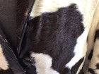 Vtg Cowhide Hair Leather Jacket Meier   Frank  L Pit-pt 22 Burning Man Festival