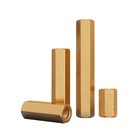 Hex Brass Standoff Spacer Female To Female M2 M2 5 3-30mm Hexagonal Pillar