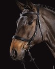 Schockemohle Equitus Delta Bridle Black silver Anatomical   No Import Fees