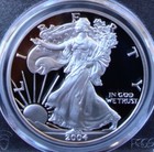 2004-w 1oz Silver American Eagle Dollar - Pcgs Pr 70 Dcam