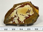 Aaa  Old Stock Owyhee Picture Jasper Slab  Lot 628