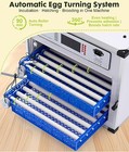 136-egg Automatic Poultry Incubator     Digital Temperature   Humidity Control