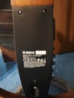 Silent  Guitar  Sl200n Nylon  Guitar  With  Case Include  