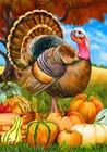 Turkey And Pumpkins Fall House Flag Thanksgiving Farm 28  X 40  Briarwood Lane