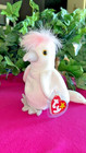 Ty Kuku Beanie Baby Collectible  Retired  Has Rarities And Errors  Used Stored