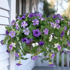 Artificial Purple Petunia Flowers Outdoor Uv Resistant Hanging Garden Decor