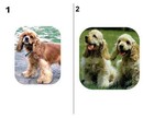 60 Cocker Spaniel Dog Pet Return Address Labels Many Choices  Free Shipping
