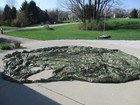 Green Military Main Parachute W lines Cut At The  Canopy With Molle Bag