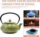 Cast Iron Teapot With Stainless Steel Infuser With Enameled Interior 