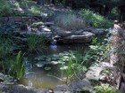 Large Pro Grade 16  X 16  Complete Backyard Pond Kit - Aplp16x16