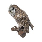 Hand Painted Owl Figurine On Branch Realistic Woodland Bird Decor Brown 6 5 Inch