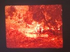 Deathsport 1978 16mm Colour Sound Cine Film Feature Theatrical