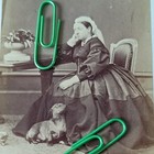 Antique Cdv Photo Queen Victoria With Her Lovely Dog By Hills   Saunders