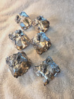 Aesthetic Set 6 Silverplate Napkin Rings Naturalistic Bee On Leaf Form