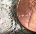 Antique Drawn Thread Embroidery   Very Fine Stitchwork    Cottage Landscape 