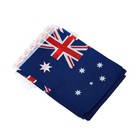 Australia Flag Australian Flag  Small String Australia Flags Mini Australian    