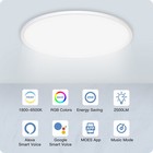 Moes Wifi Smart Led Ceiling Light Ultra-thin Rgb Dimmable Lamp Voice App Control