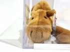 Ty Beanie Baby Babies Rare 3rd 1st Gen Tag Humphrey Tbb Authenticated Mwmt-mq