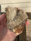 Mfrb Of Old Stock Rocks  14 Pounds Agate Jasper Wood Rough